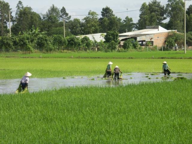 Urlaub in Vietnam 2007